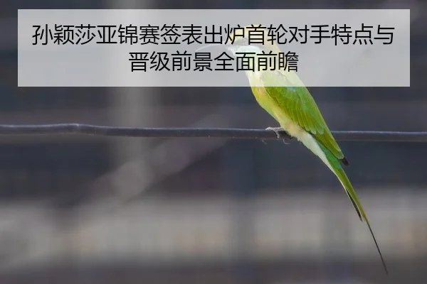 孙颖莎亚锦赛签表出炉首轮对手特点与晋级前景全面前瞻